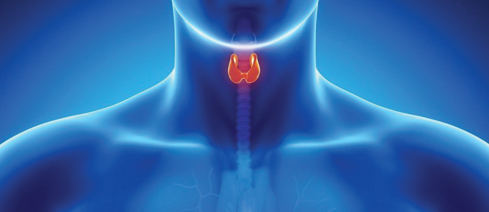 Biopsia de tiroides (BAAF)